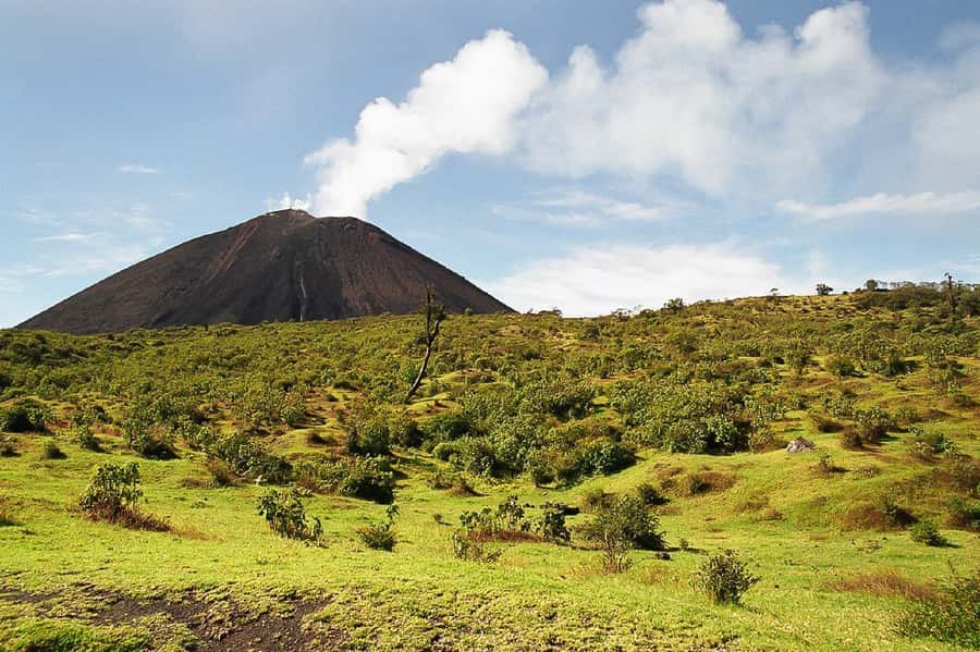 From Antigua: Pacaya Volcano Trek - Marshmallows on the Volcano: Small Detail, Big Memory