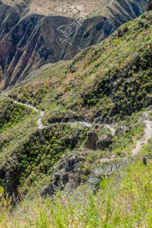 From Arequipa: 2-Day Colca Canyon Trekking Tour - San Juan Valley to Sangalle: the canyon walk that slows you down