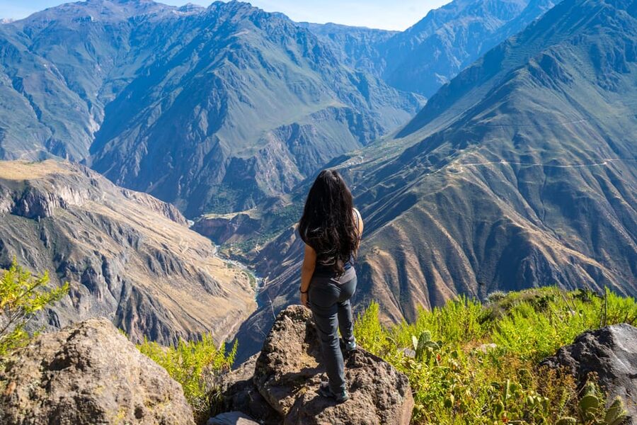 From Arequipa: 2-Day Colca Canyon Trekking Tour - Return-route highlights: terraces, Chacapi hot springs, and animal spotting