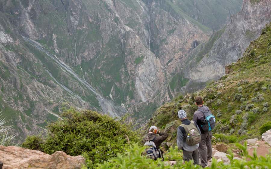 From Arequipa: 2-Day Colca Canyon Trekking Tour - Cruz del Cóndor: condors, photos, and why the stop matters
