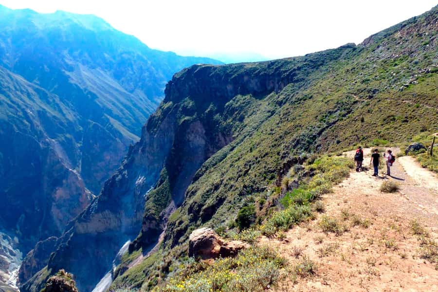 From Arequipa Trek : 2-Days of Hiking in the Colca Canyon - Day 1 from Arequipa area to Sangalle Oasis: condors, a canyon descent, and lunch with locals