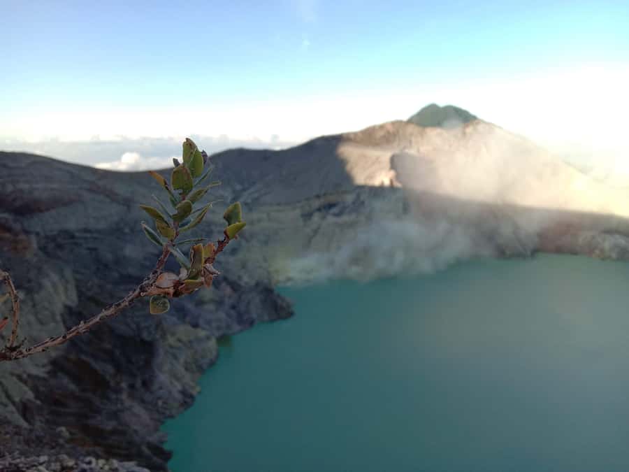 From Bali : The Majestic Mount Ijen Sunrise Trekking - Paltuding Base Area at 2:00 AM: Gear, Briefing, Then Focus