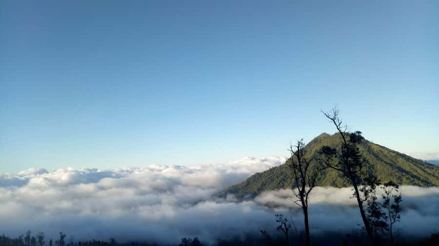 From Bali : The Majestic Mount Ijen Sunrise Trekking - Price and Logistics: Is $133 Good Value?