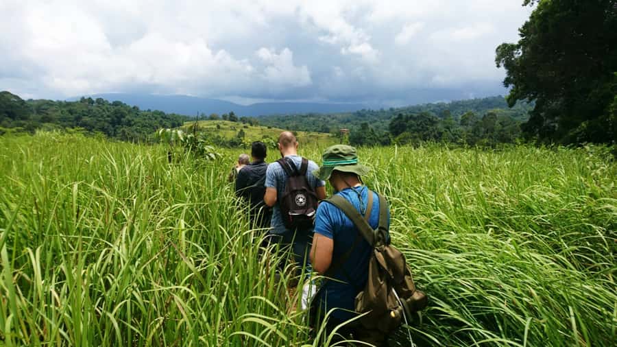 From Bangkok: Khao Yai National Park Jungle Trek with Lunch - Key takeaways before you go
