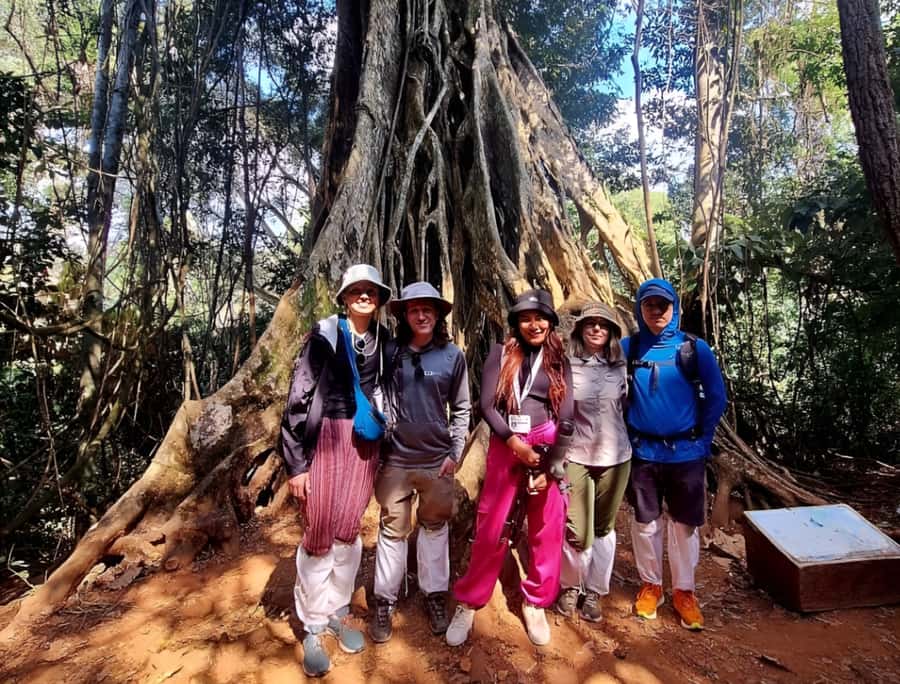 From Bangkok: Khao Yai National Park Jungle Trek with Lunch - Early Van From Bangkok to Khao Yai: What You’re Really Paying For