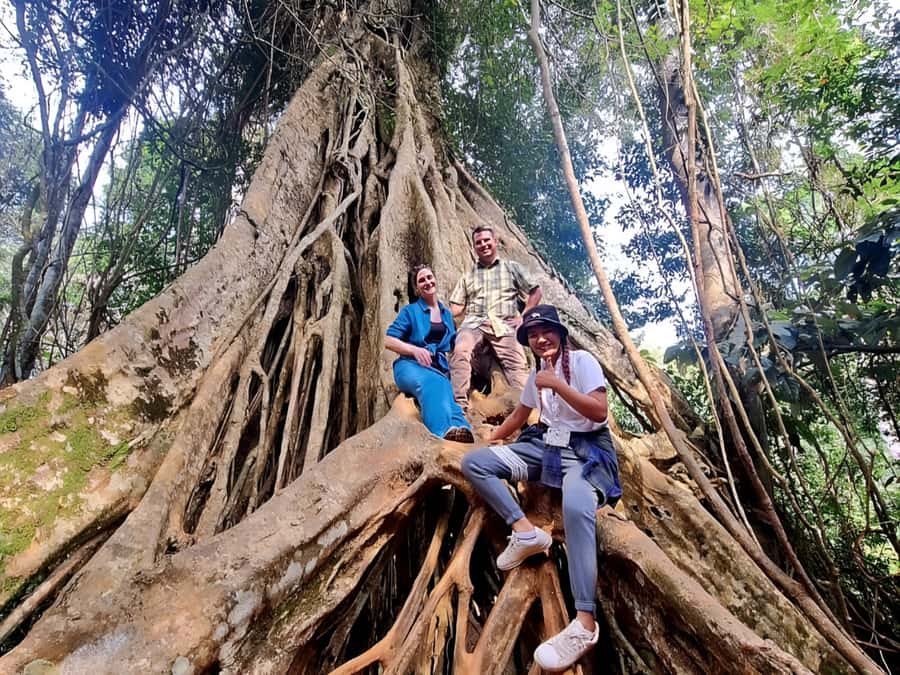 From Bangkok: Khao Yai National Park Jungle Trek with Lunch - Lam Ta Khong Campground Photo Stop and the Trip Back to Bangkok