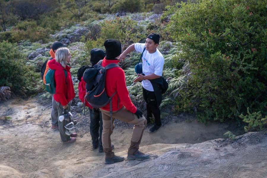 From Banyuwangi: Day Trip to Ijen Volcano with Guided Trek - Entering the Ijen World: Crater Rim Walks and the Acid Lake