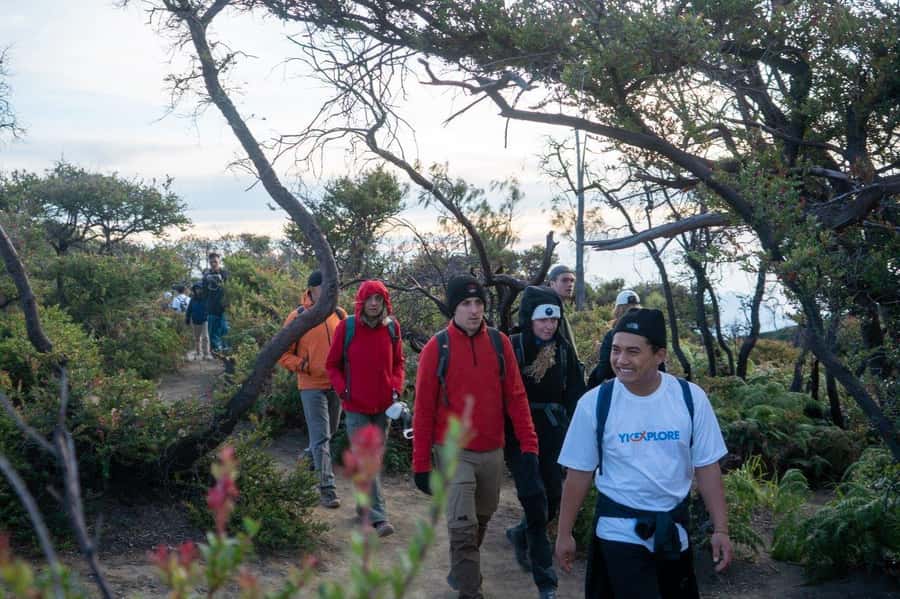 From Banyuwangi: Day Trip to Ijen Volcano with Guided Trek - Sunrise From the Crater: Where the Trek Turns Into Payoff