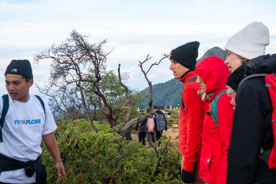 From Banyuwangi: Day Trip to Ijen Volcano with Guided Trek - The Trek’s Fitness Reality: What Moderate Means on a Volcano