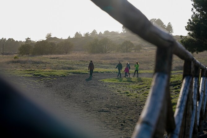 From Catania: Private mt. Etna trekking and pic-nic - Mt Etna from Catania: why this half-day hits the right note