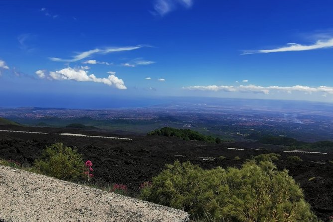 From Catania: Private mt. Etna trekking and pic-nic - Price and value: is $274.90 per person fair for a private Etna day?