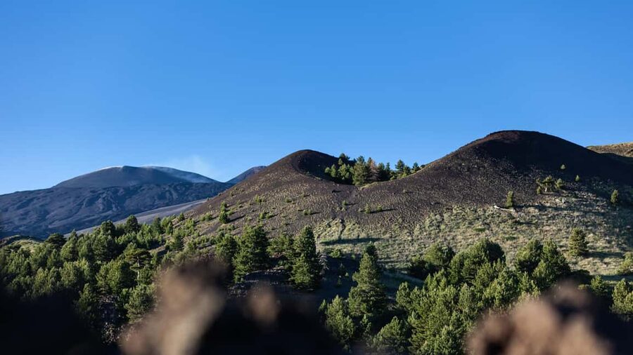From Catania: trek on Mount Etna, Lava Cave & tasting Tour - Should you book this Mount Etna trek, lava cave, and tasting tour?