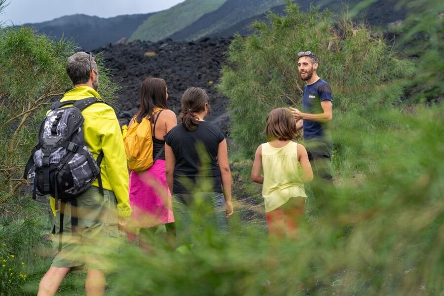 From Catania: trek on Mount Etna, Lava Cave & tasting Tour - Who should book this, and who should skip it