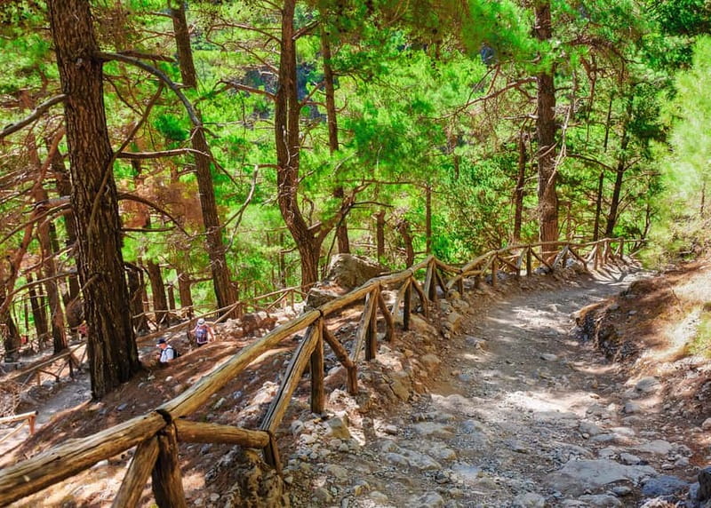 From Chania: Full-Day Samaria Gorge Trek Excursion & Guide - Price and value: what $41 buys (and what costs extra)