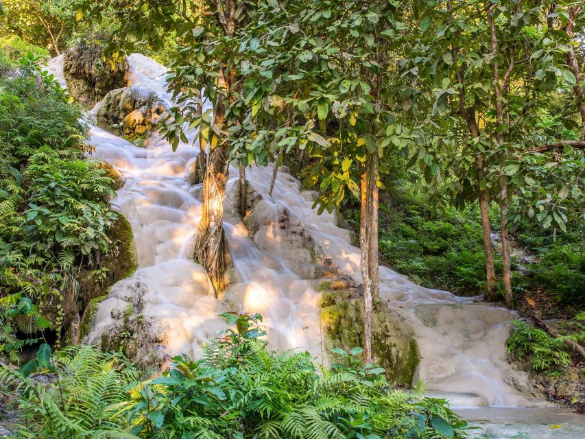 From Chiang Mai: Chiang Dao Cave Trekking Full-Day Tour - The market stop and lunch: where your day gets tasty (and local)