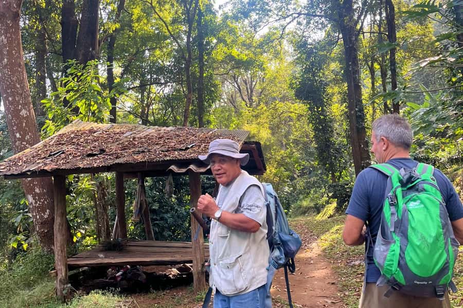 From Chiang Mai: High Mountain Day Trek - Key Points You’ll Care About
