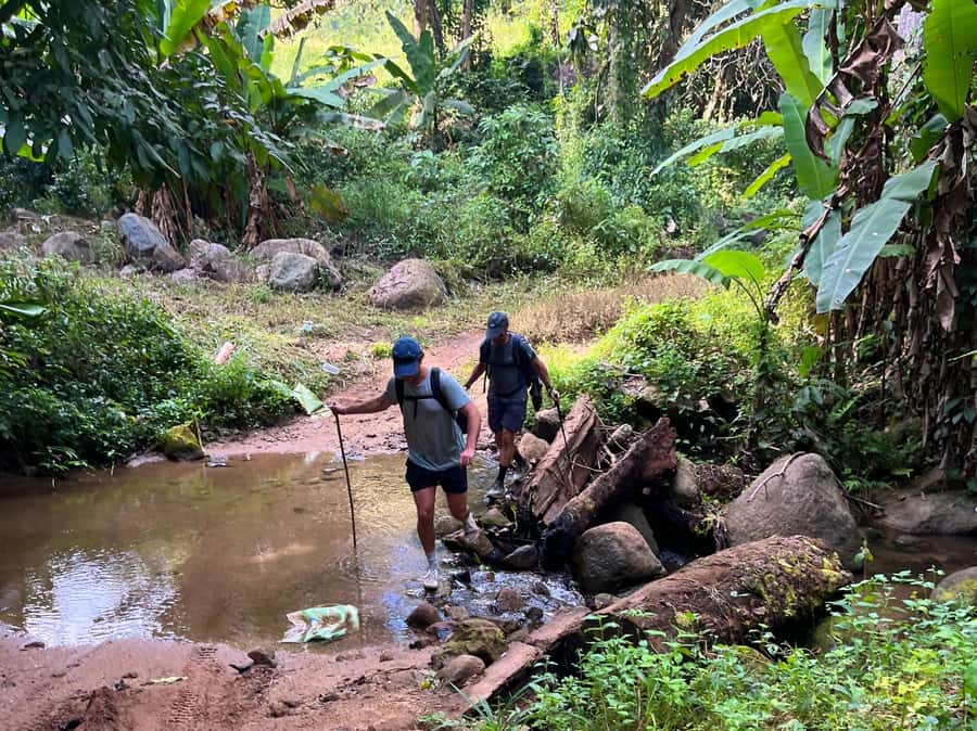 From Chiang Mai: High Mountain Day Trek - What the Guide Teaches on the Trail (And Why It Changes the Whole Day)