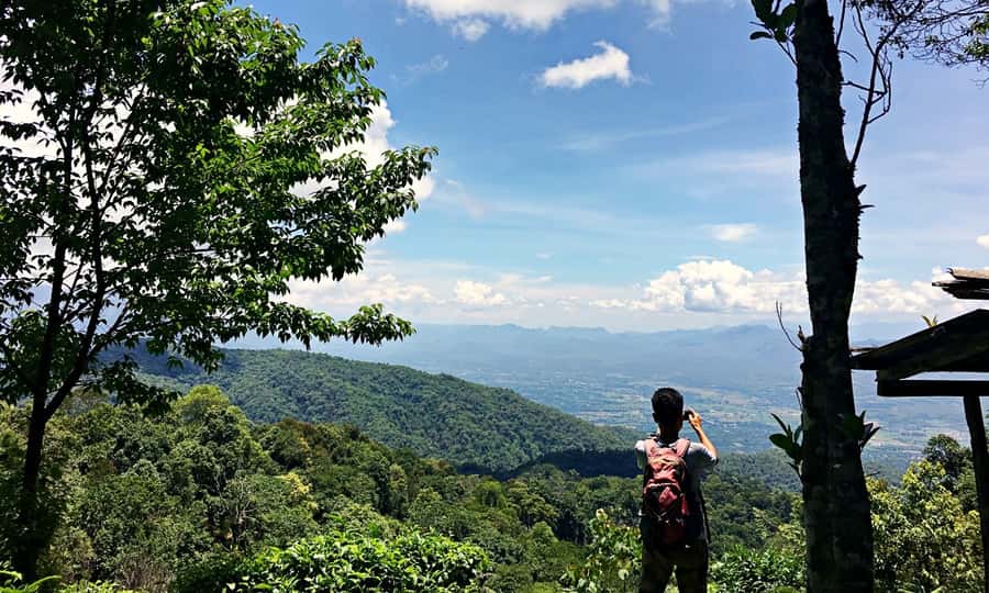 From Chiang Mai: High Mountain Day Trek - Lunch in the Hills: Homemade Thai Food and Fresh Fruit