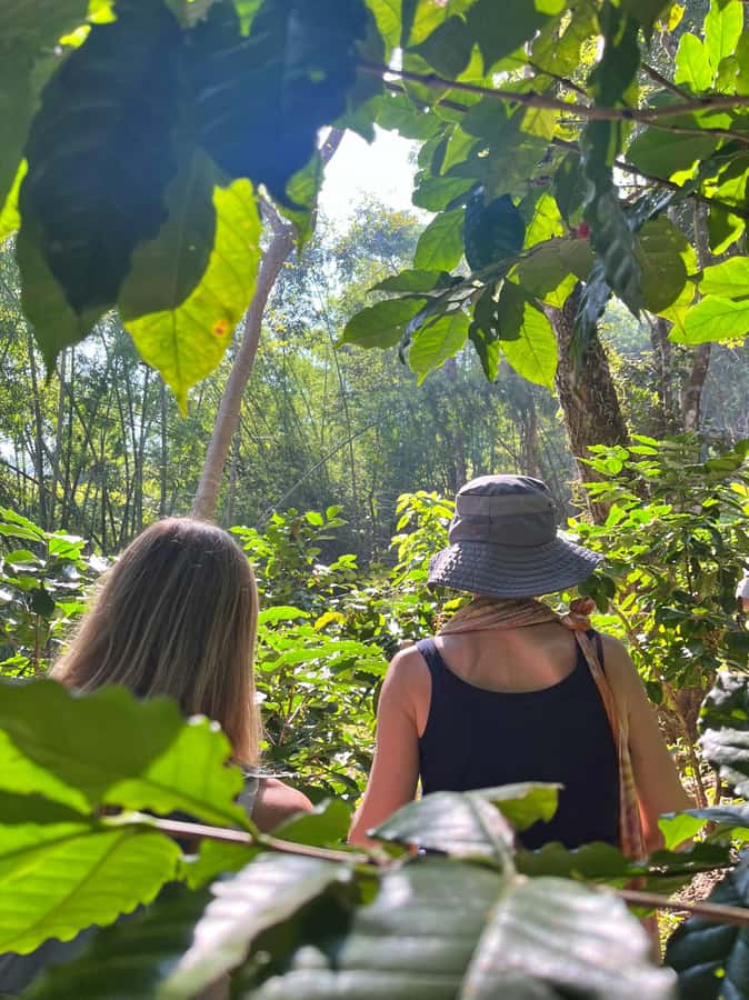 From Chiang Mai: High Mountain Day Trek - Village Stop and Hill-Tribe Encounters