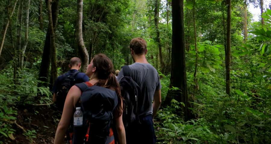 From Chiang Mai: High Mountain Day Trek - The Wat Ban Den Temple Stop: A Quiet Reset After the Trek