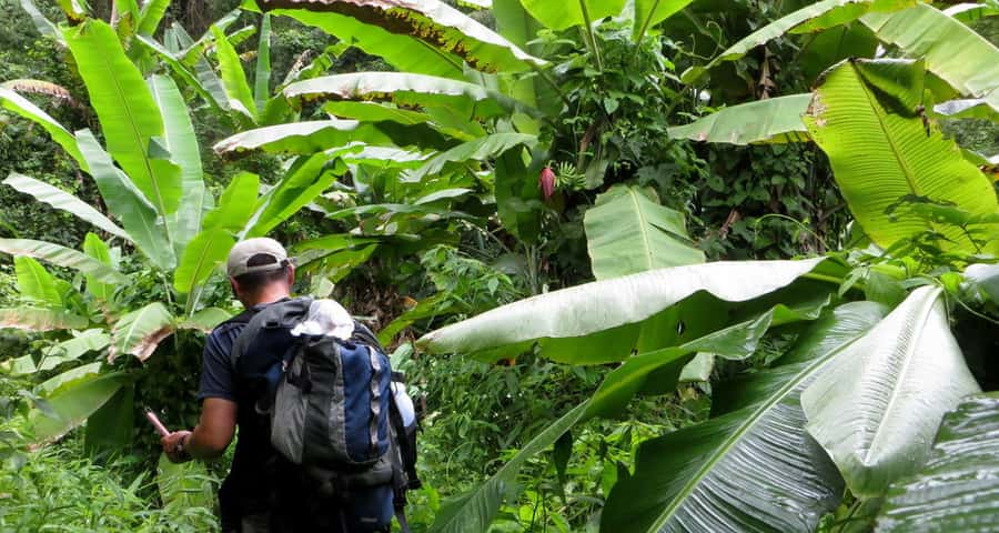 From Chiang Mai: High Mountain Day Trek - Return to Chiang Mai: Around 5 PM, With a Little Time Buffer