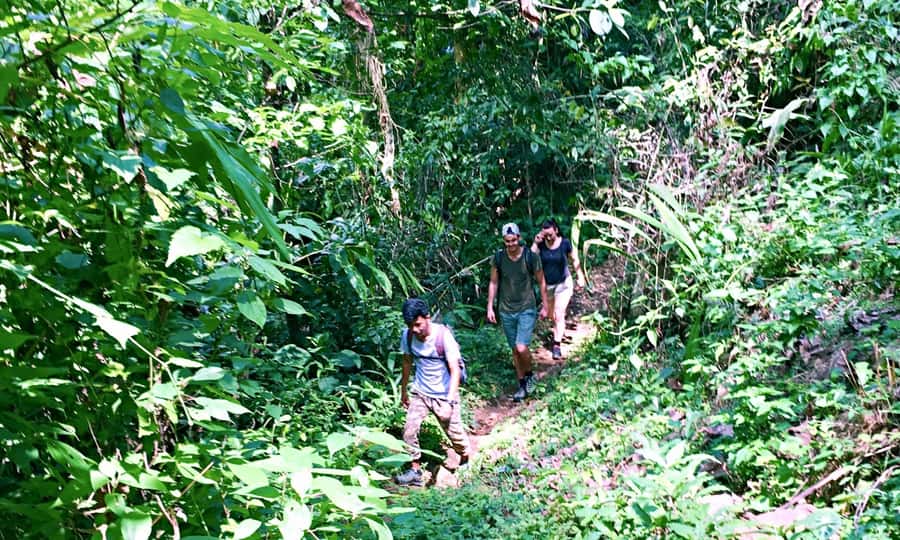 From Chiang Mai: High Mountain Day Trek - What to Pack (So the Day Feels Easy, Not Annoying)