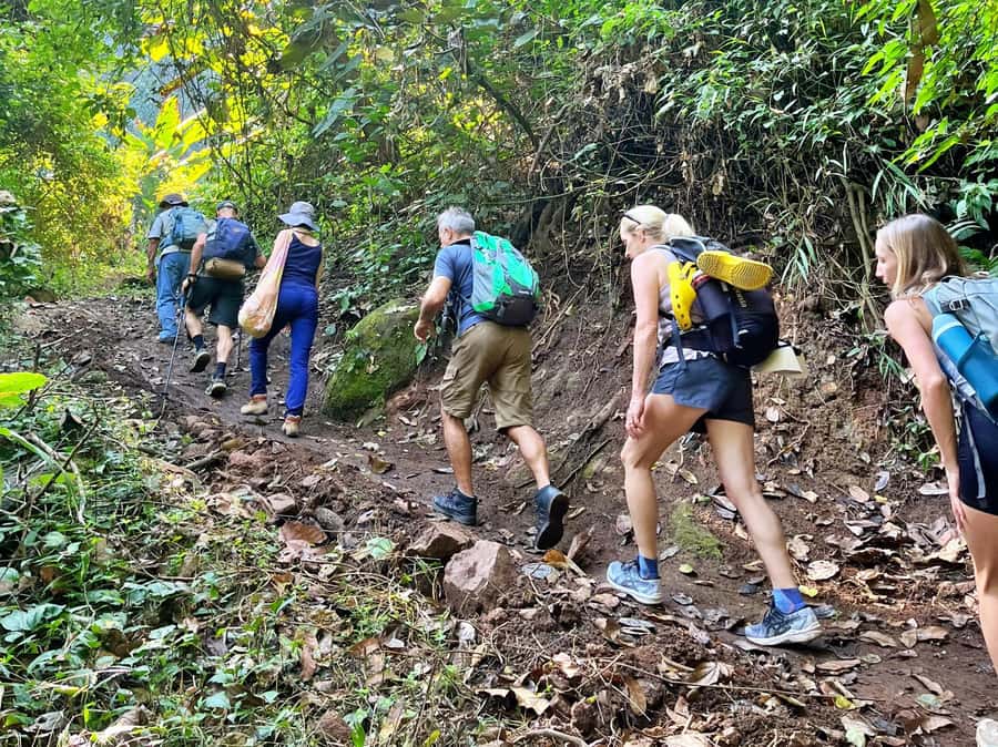 From Chiang Mai: High Mountain Day Trek - The Hike Portion: Jungle Trails, Viewpoints, and Real Footwork