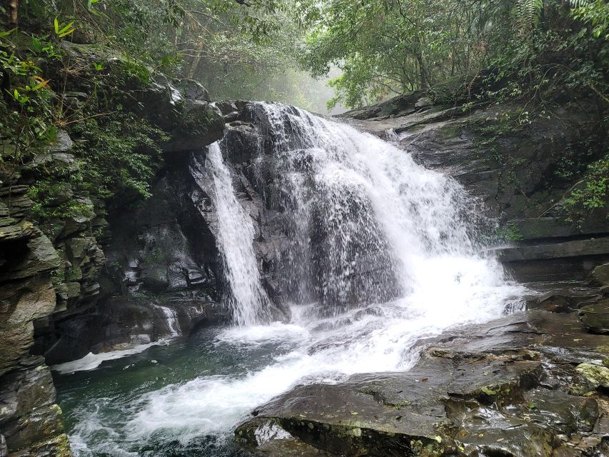 From Da Nang or Hoi An: Bach Ma National Park Trek & Lunch - Key things to know before you go