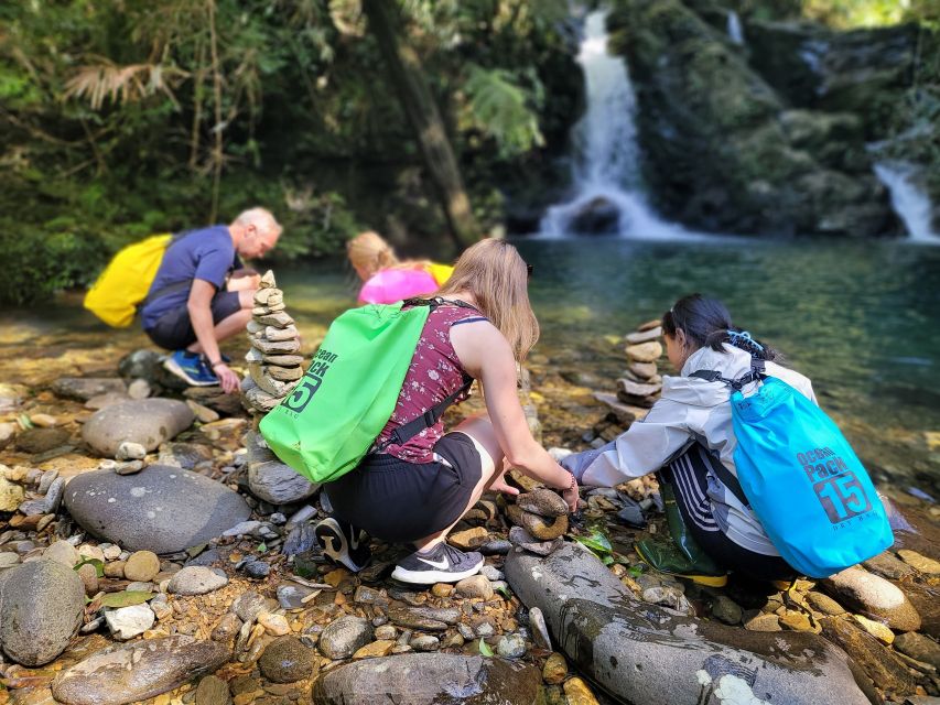 From Da Nang or Hoi An: Bach Ma National Park Trek & Lunch - Picnic lunch in the mountains: simple, included, and timed well