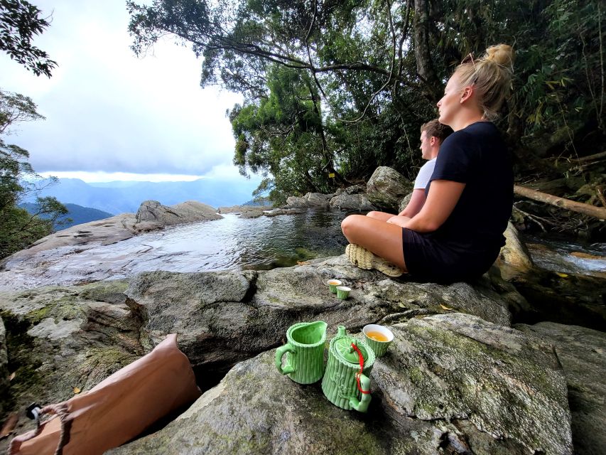 From Da Nang or Hoi An: Bach Ma National Park Trek & Lunch - The guide and the small-group advantage (yes, it matters)