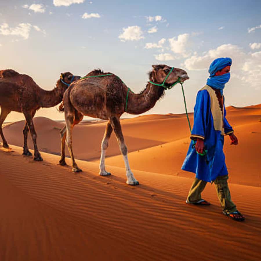 From Fes: 2 Day Round Trip Via Merzouga Desert & Camel Trek - Cedar Forest to Midelt: A Stop Plan That Prevents Sahara Burnout