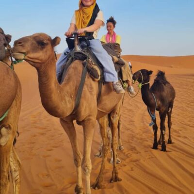 From Fes: 2 Day Round Trip Via Merzouga Desert & Camel Trek - Fès to Ifrane: The Middle Atlas Chill You Didn’t Know You Needed
