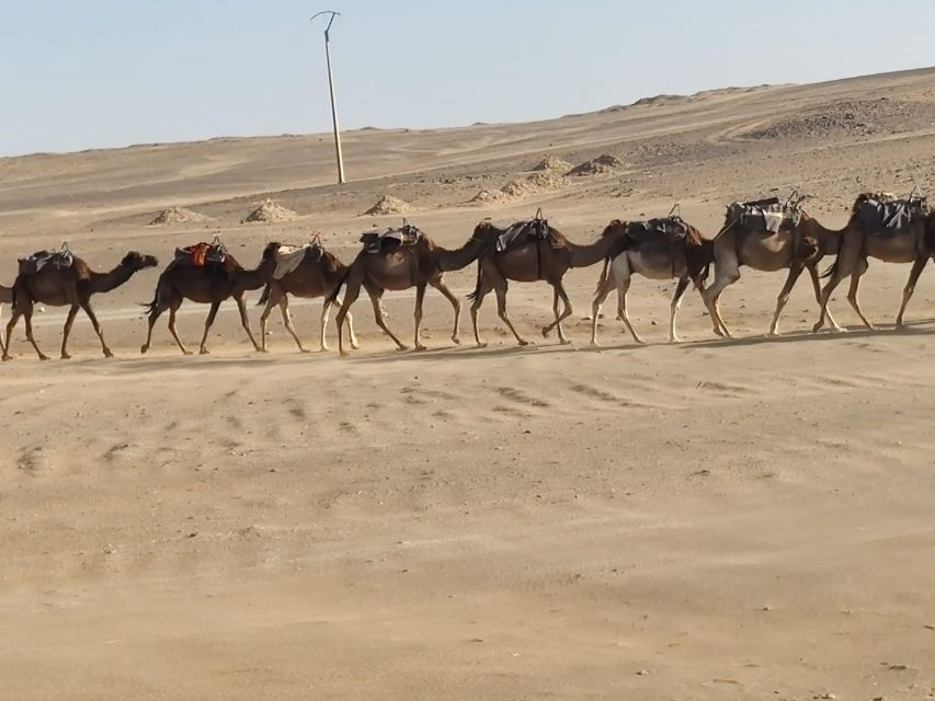 From Fes: 2 Day Round Trip Via Merzouga Desert & Camel Trek - Merzouga Arrival: Hotel Transfer, Then the Camel Adventure