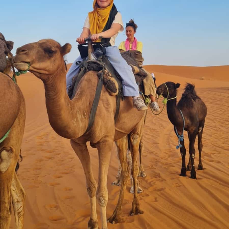 From Fes: 2 Day Round Trip Via Merzouga Desert & Camel Trek - Fès to Ifrane: The Middle Atlas Chill You Didn’t Know You Needed