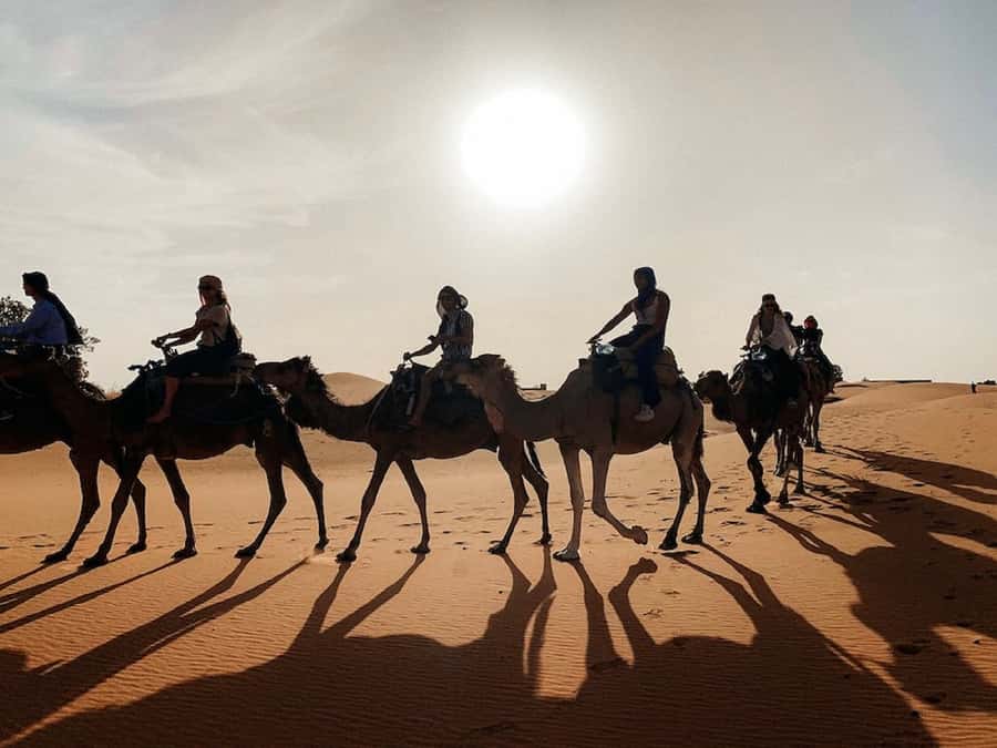 From Fes: 2 Day Trip to Marrakech via the Desert& Camel Trek - Your Day 1 Flow: From Fes to Merzouga, Stop by Stop