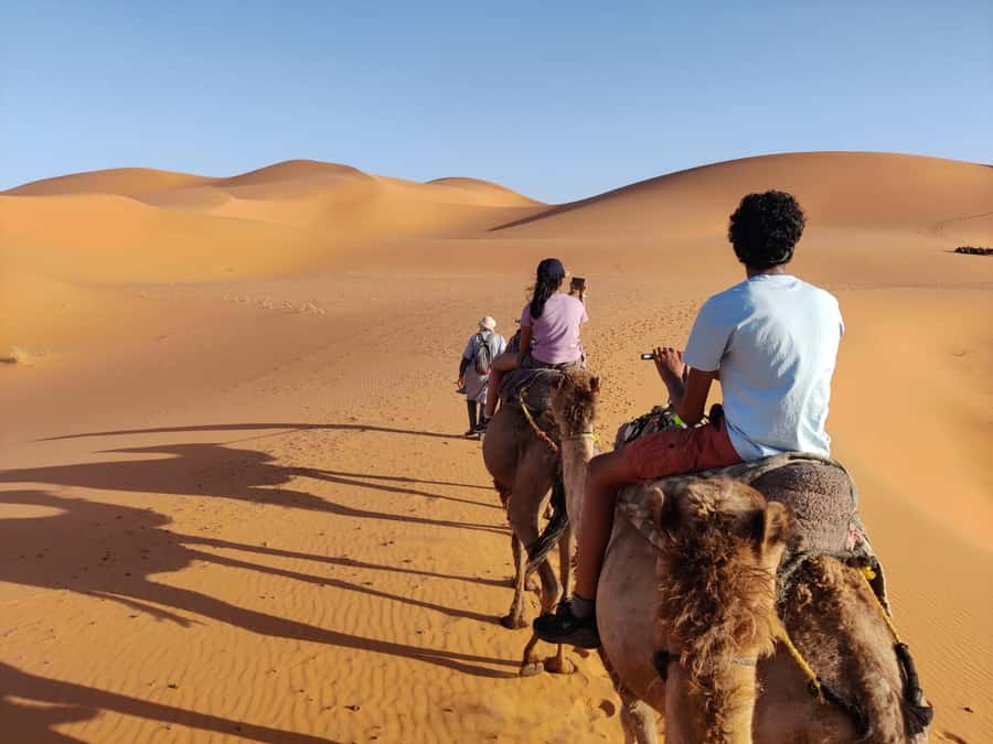 From Fes: 3 Day Magical Desert Camel Trek To Marrakech - Ifrane and Azrou: a quick culture detour before you hit desert country