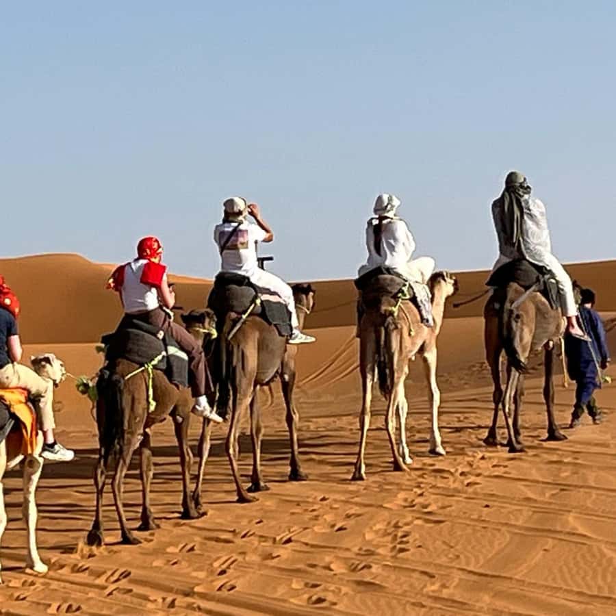 From Fes: 3 Day Magical Desert Camel Trek To Marrakech - Todra Gorge and Tinghir: limestone walls and palm-lined calm