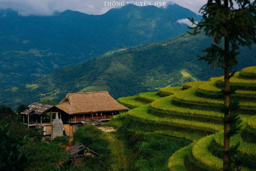 From Ha Giang Trekking Day Trip With Local Guide - Uphill walking through tea and palm forests to Lùng Vai