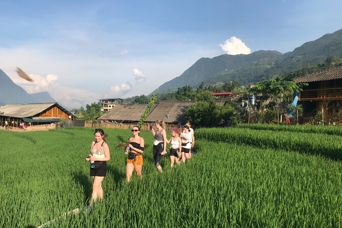 From Hà Nội : Sapa trek with local guide 2 days 1 night - Key Highlights You’ll Want to Know