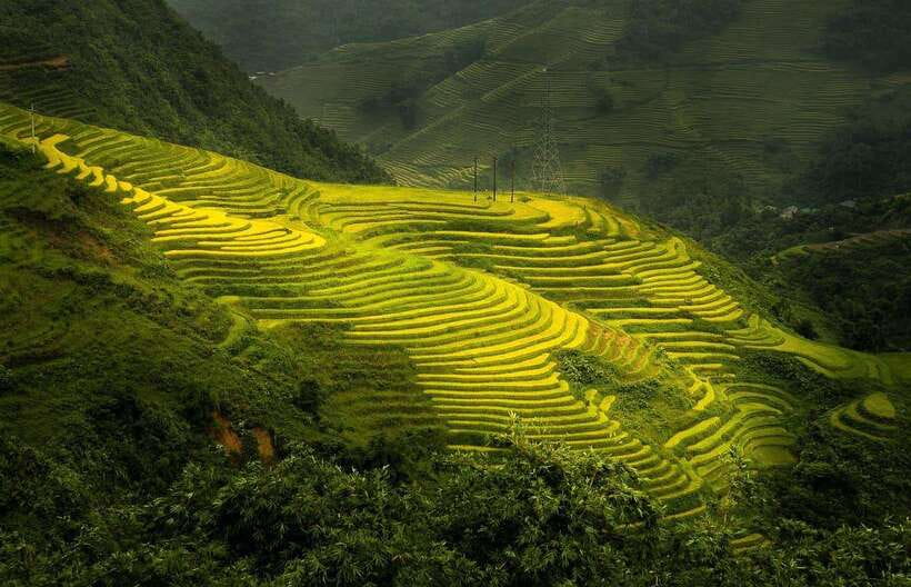 From Hanoi: 1-day Sapa Trekking Tour With Overnight Bus - Stop 1: Y Linh Ho village and the first push onto the trail