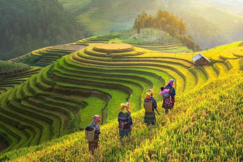 From Hanoi: 1-day Sapa Trekking Tour With Overnight Bus - Stop 4: Ta Van Village lunch at a local homestay