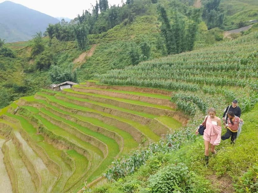 From Hanoi: 2-Day Sa Pa Ethnic Homestay Tour with Trekking - Day 2 Trek to Giang Ta Chai: Rice, Bamboo, and a Bridge View