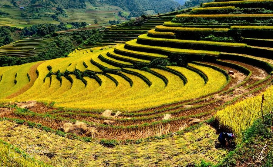From Hanoi: 2-Day Sapa-Fansipan Peak & Trek & Ha Giang Bus - Should You Book This Hanoi–Sapa–Fansipan–Trek Tour?