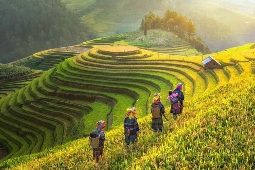 From Hanoi: 2-Day Sapa Trekking Tour with Homestay - Key highlights you’ll feel quickly on this Sapa trek