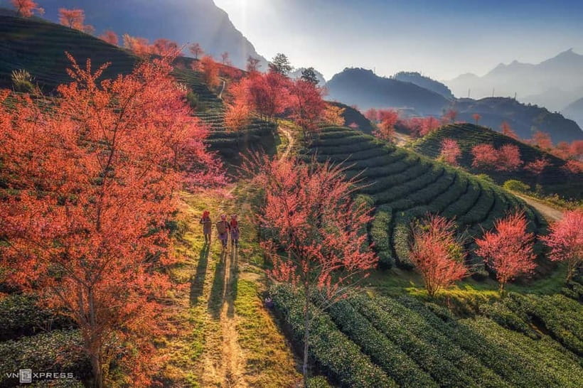 From Hanoi: 2-Day Sapa Trekking Tour with Homestay - Day 2: Giang Ta Chai with Red Dao communities, then back to Hanoi by sleeper bus