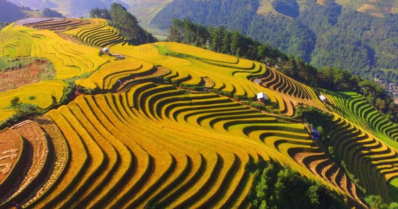 From Hanoi: 2-Day Sapa Trekking Tour with Homestay - Who this Sapa trek fits best (and who should skip it)