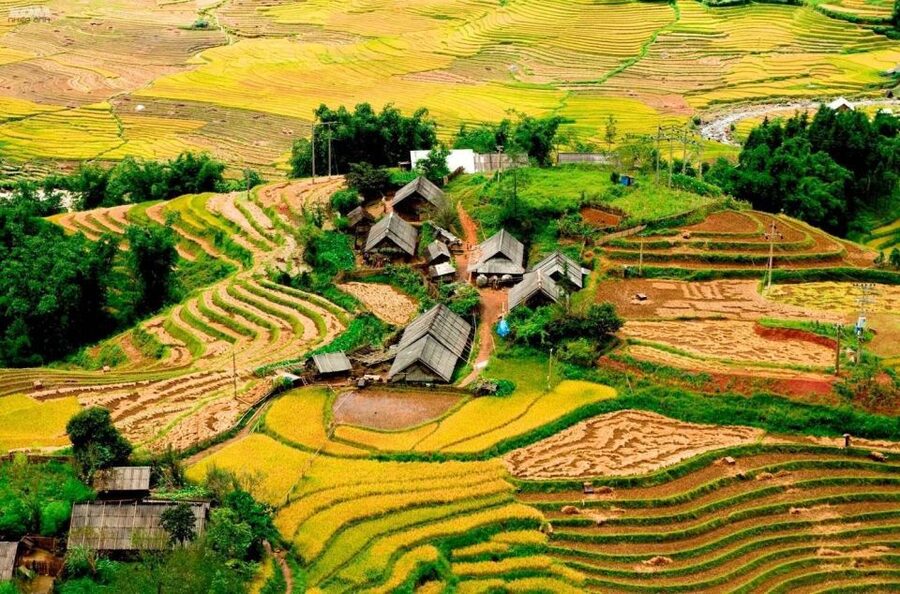 From Hanoi: 2-Day Sapa Trekking Trip with Homestay & Meals - Hanoi to Sapa: The Early Start That Makes the Hike Worth It