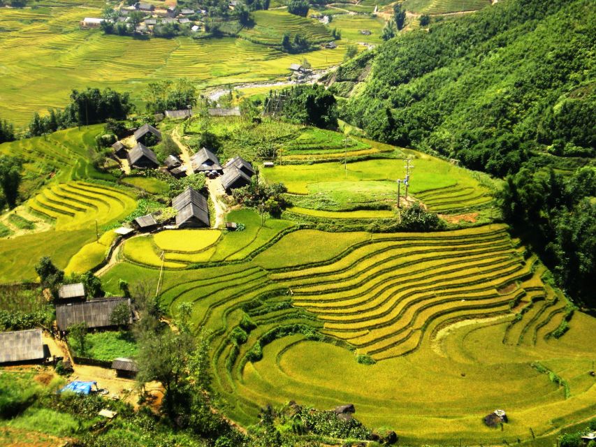 From Hanoi: 2-Day Sapa Trekking Trip with Homestay & Meals - Day 2 Options From Ta Van: Bamboo Forest Hiking or More Village Walking