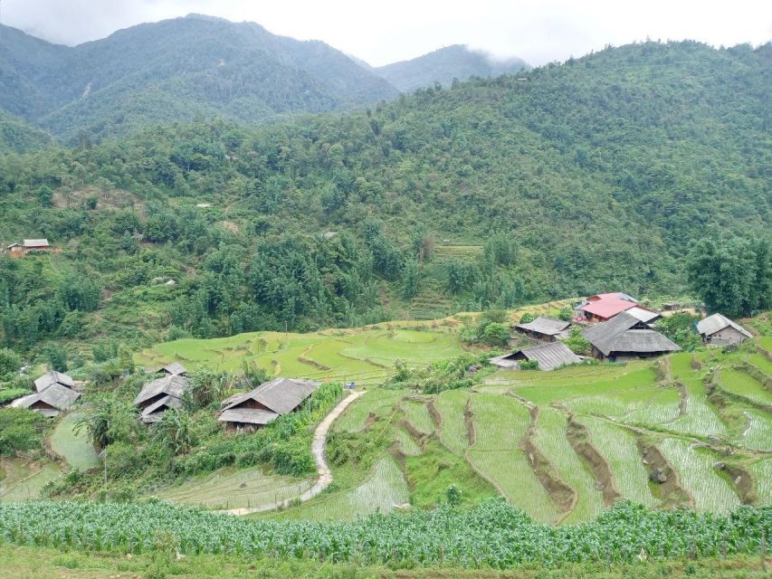 From Hanoi: 2-Day Sapa Trekking Trip with Homestay & Meals - Food on the Trail: Meals You Share, Not Just Eat