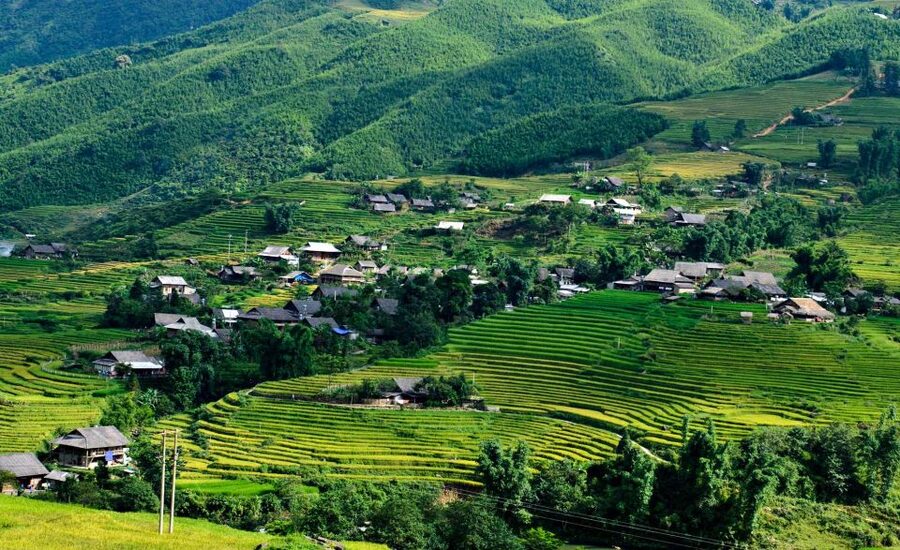 From Hanoi: 2-Day Trekking To Villages In Sapa with Homestay - Why this Sapa trek feels grounded, not staged